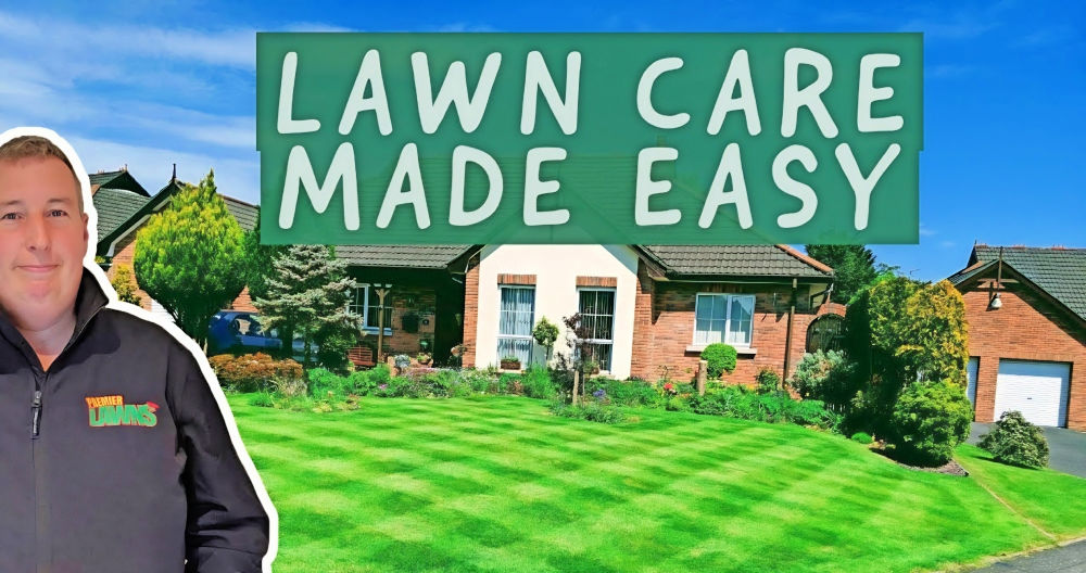 Easy DIY Lawn Care For Beginners