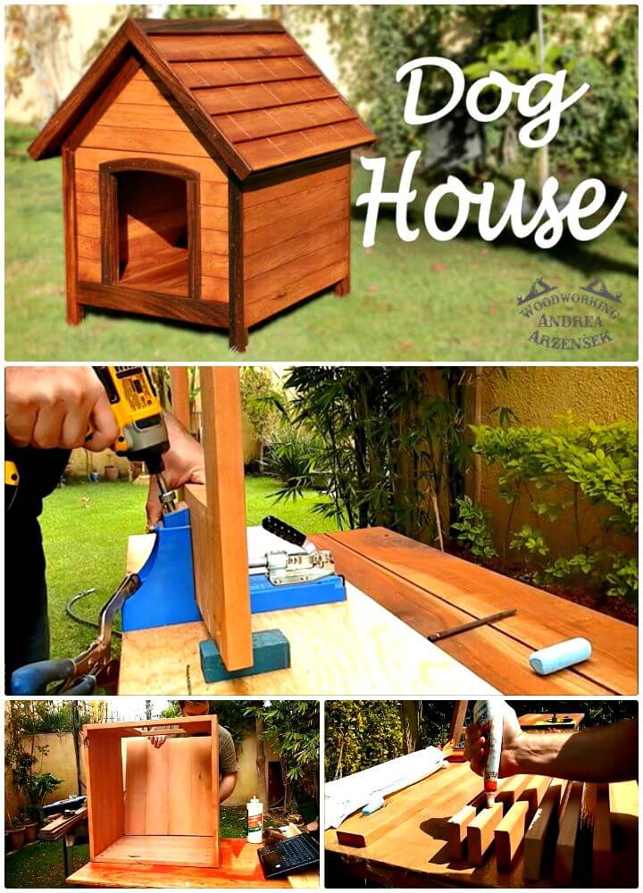 45 Easy DIY Dog House Plans & Ideas You Should Build This Season