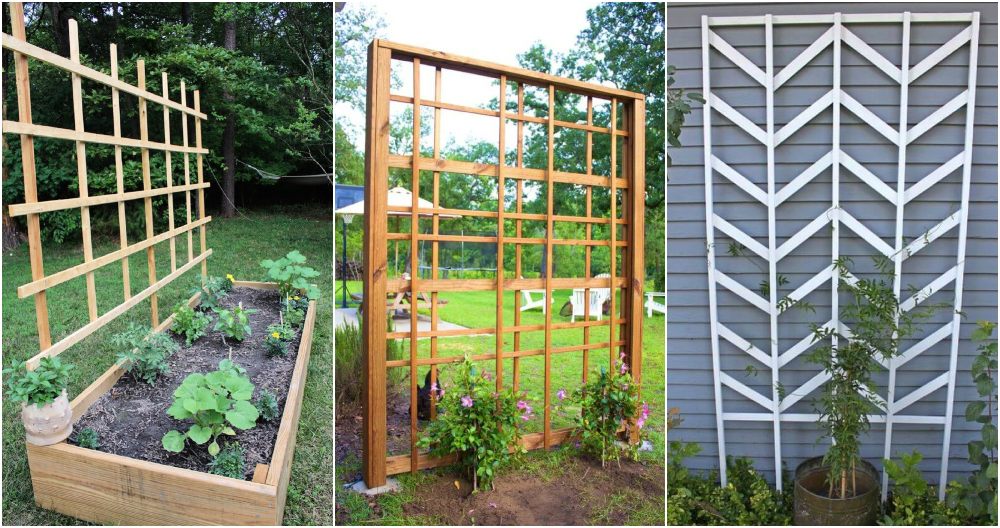 24 Easy DIY Trellis Ideas for Your Garden