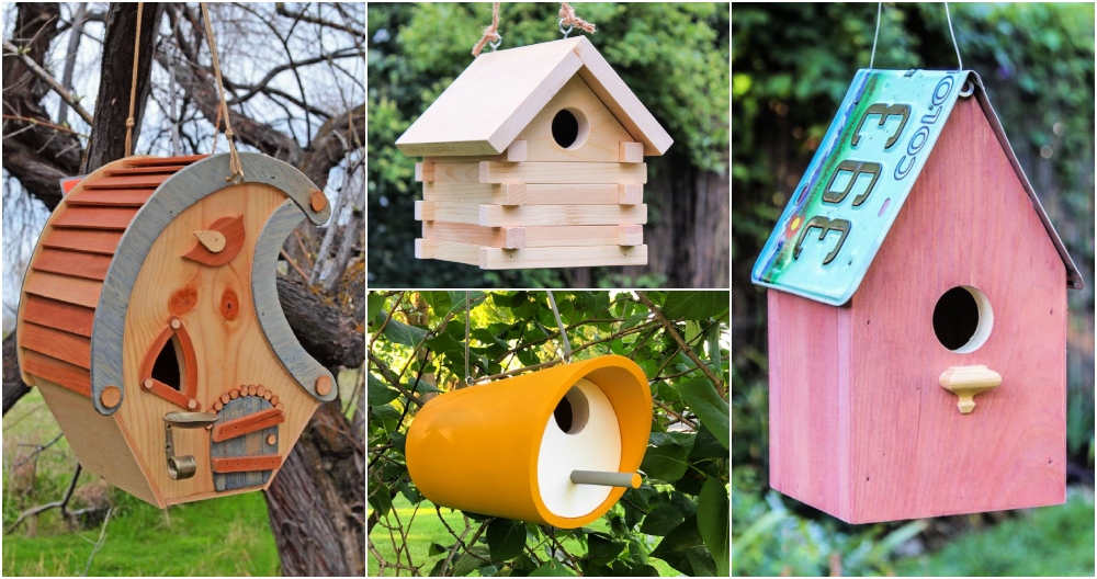 How to Build a Bird House: 40 DIY Birdhouse Plans