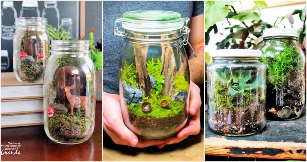 DIY: Mason Jar Terrarium – Jenna Burger Design LLC – Interior