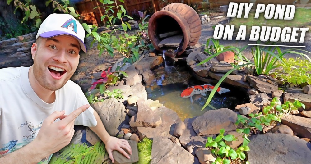 How to Build a DIY Pond at Home