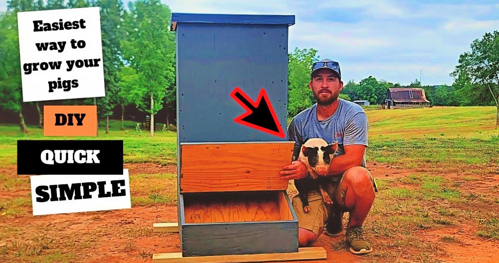 Homemade DIY Pig Feeder