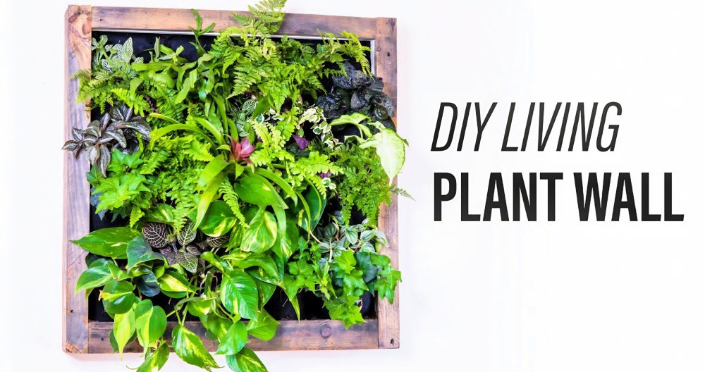 DIY Plant Wall: A Step-by-Step Guide